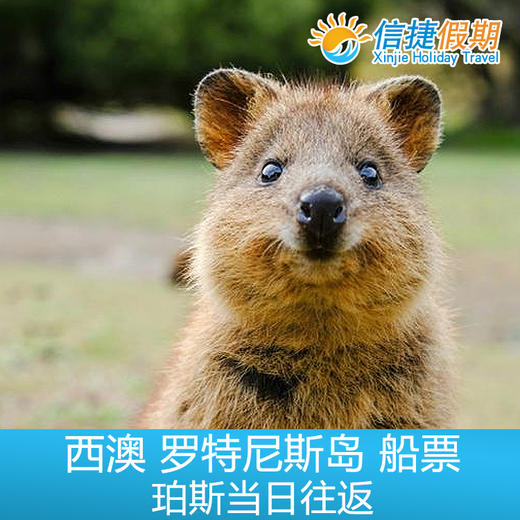 澳大利亚 西澳 罗特尼斯岛船票（珀斯出发 当日往返） 商品图0