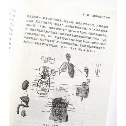 内经真原【田合禄】 商品图4