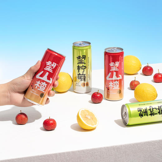 望山楂3罐+望柠檬3（330ml) 商品图2