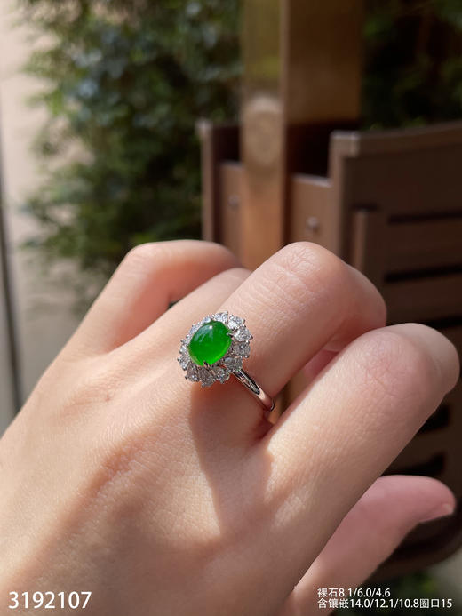 3192107，老坑高冰艳绿蛋面戒指。具体价格微信咨询 商品图1