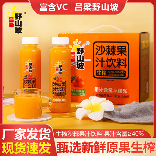 吕梁野山坡沙棘汁果汁300ml*12瓶礼盒装（果汁含量40%） 商品图1
