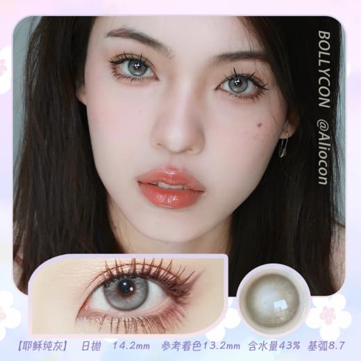 Bollycon Apex耶稣纯灰 14.2mm【日抛|10片/盒】 商品图0