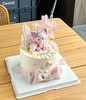 玲娜贝儿J款 商品缩略图1