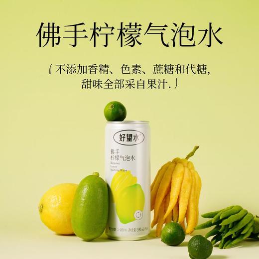 望柠萌铝罐装330ml*6 商品图2