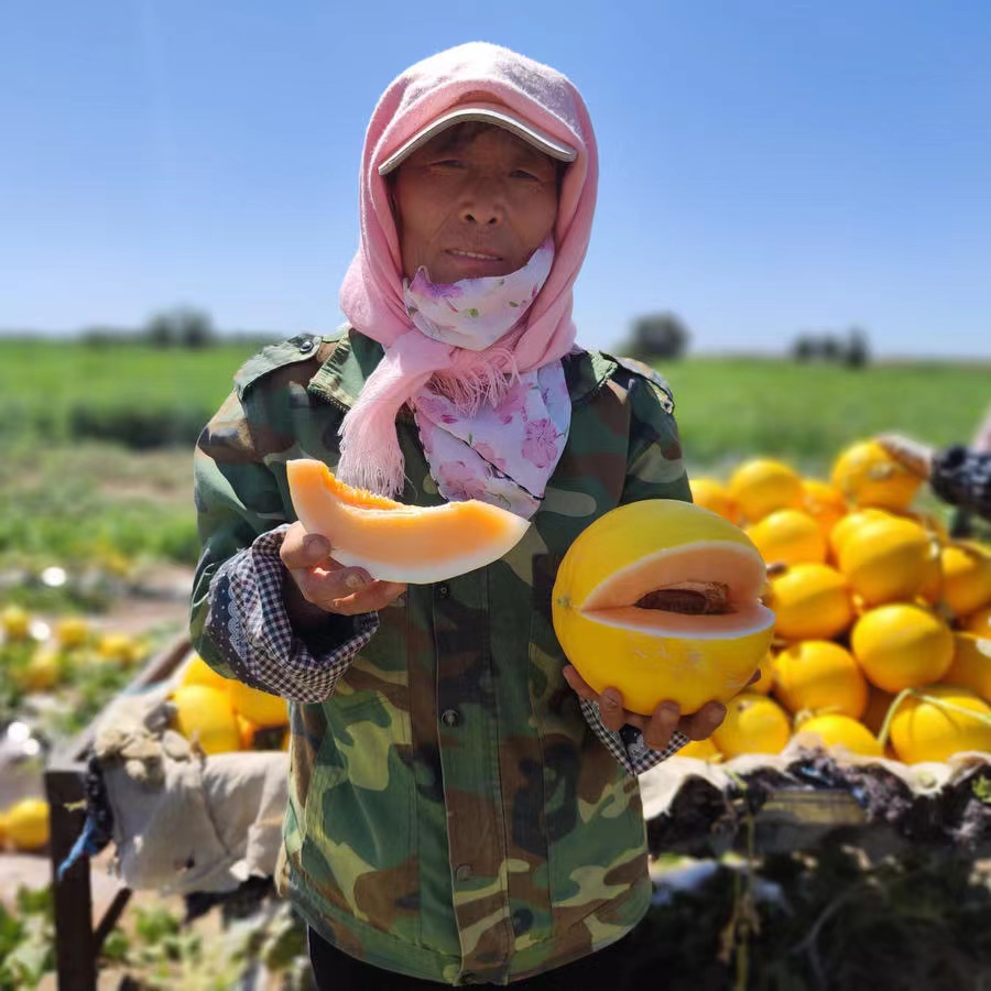 助农 甘肃民勤蜜瓜 |谁吃谁夸，软糯香甜，新鲜采摘，肉厚汁多，感受来自沙漠的甜蜜