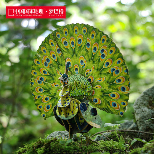 博物文创 为自然发声系列立体拼插纸模之动物园 绿孔雀河马非洲狮东北虎亚洲象 商品图1