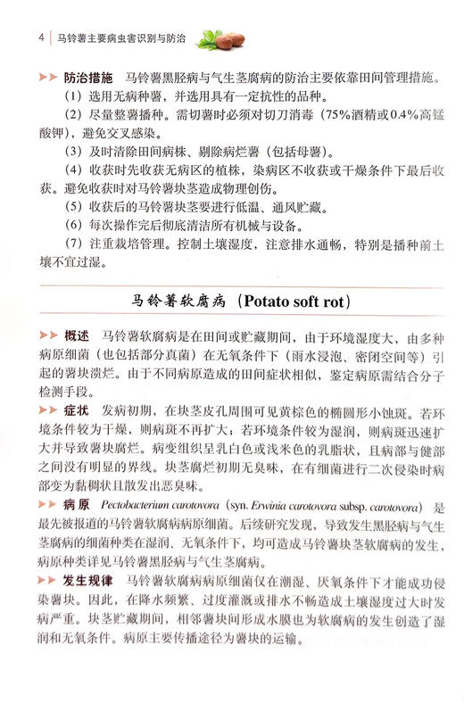 马铃薯主要病虫害识别与防治【中国农业出版社官方正版】 商品图3