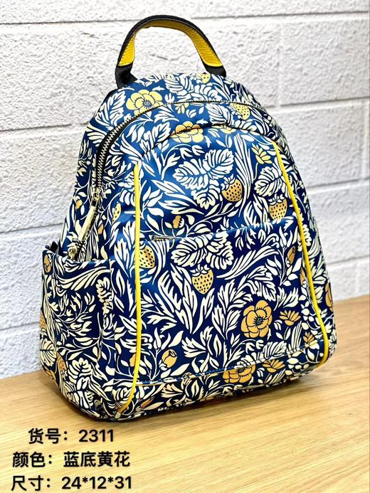 女包2311 商品图1