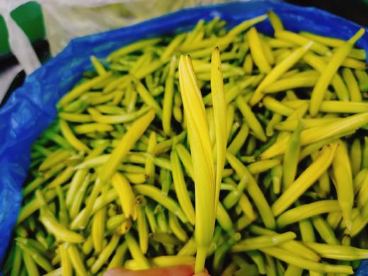 黄花菜一斤 商品图0