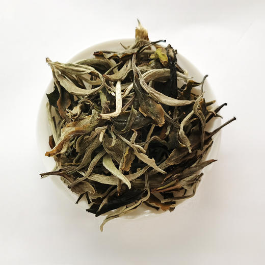 2022年                                          古树白牡丹（500克原木盒） 商品图1