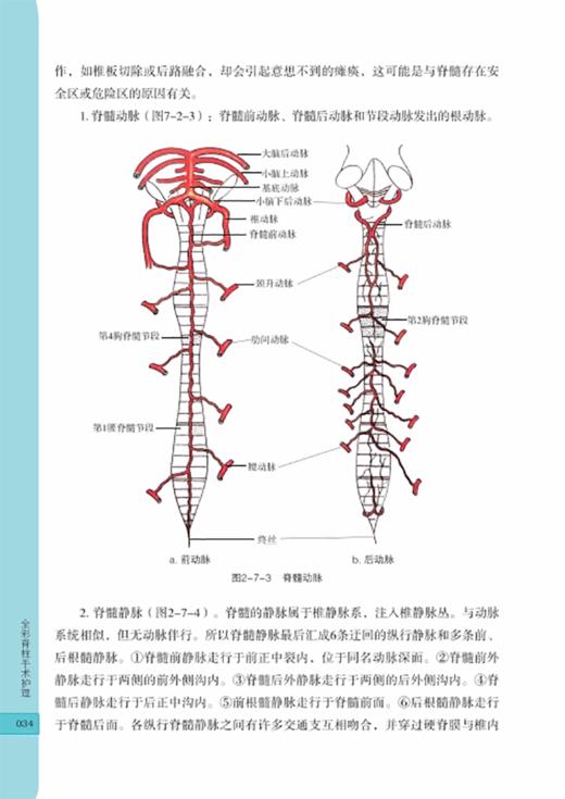 全彩脊柱手术护理 手术室亚专科护理系列教材 脊柱手术专科护士培训 脊柱手术间设计与配置 等 湖南科学技术出版社9787571019259 商品图3
