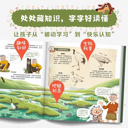 【图书】《去看看，我们的国家公园》| 清新细腻的画风、真实还原的场景，让孩子身临其境般走进自然，体验一堂精彩生动的科学课。7岁+ 商品图3