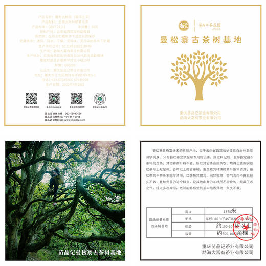 2022年曼松古树茶（500克密封罐） 商品图2