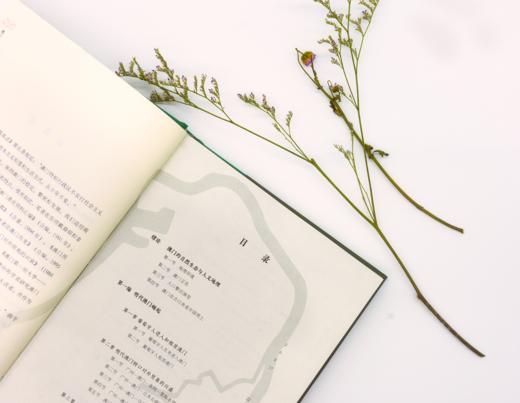 澳门通史：从远古至2019年 第八届中华优秀出版物奖 商品图3