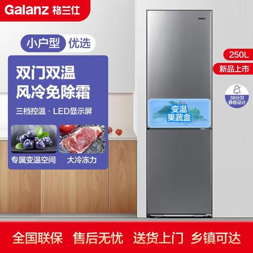 【会员日专用】格兰仕电冰箱\BCD-250WE 商品图0