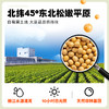 【青汁豆浆】九阳豆浆大麦若叶青汁豆浆粉15条*27g高蛋白高膳食纤维即食代餐粉 商品缩略图4