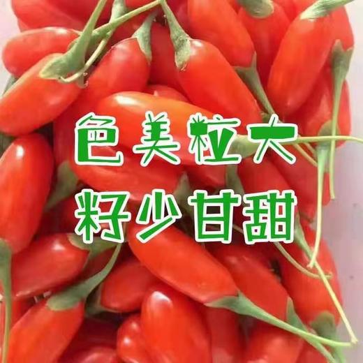 青海柴达木新鲜枸杞 只卖七八月的鲜果枸杞 顺丰冷链包邮 125g/盒*4盒/份 商品图1