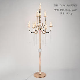 6+3+1头拉尾路引【运费自理】