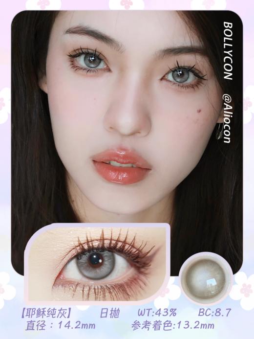 Bollycon Apex耶稣纯灰 14.2mm【日抛|10片/盒】 商品图1