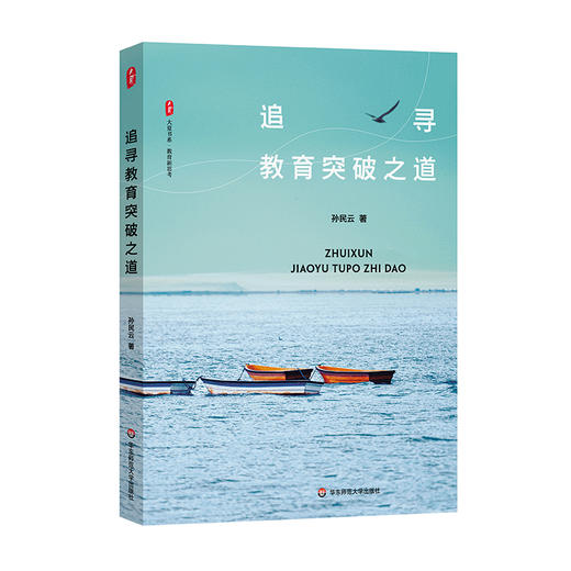 追寻教育突破之道 大夏书系 孙民云著 教师教育教学素养提升 商品图0