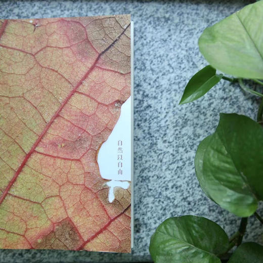 自然以自由 刘华杰 著 科学史话 商品图3