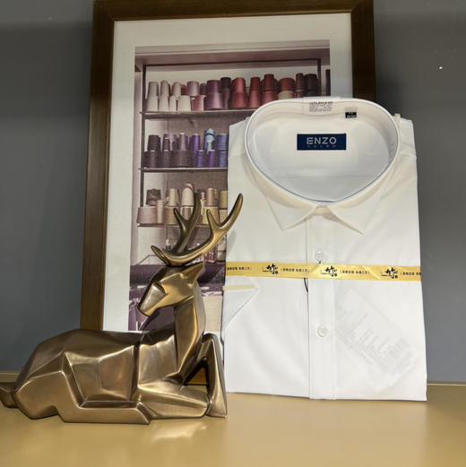 4F ENZO衬衫 商品图0