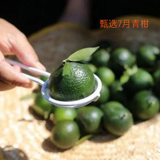 【踢馆级小青柑 不惧比较】特级 2023年陈年宫廷小青柑 250g 清香型 商品图1