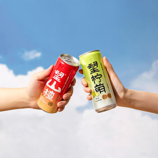 望山楂3罐+望柠檬3（330ml) 商品图6