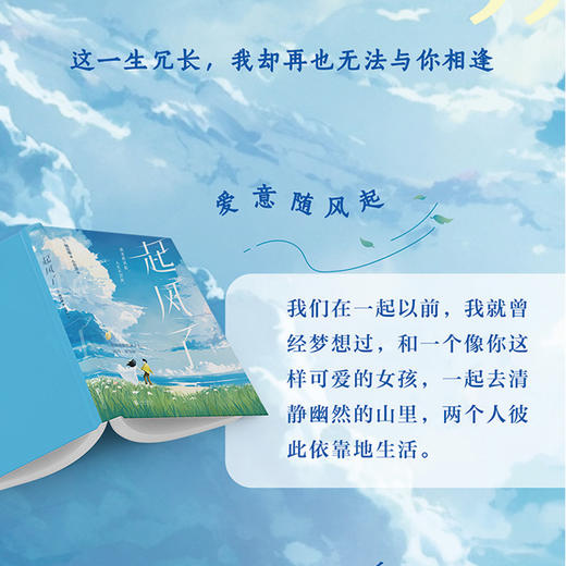 起风了 商品图3