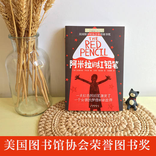 阿米拉的红铅笔 商品图2