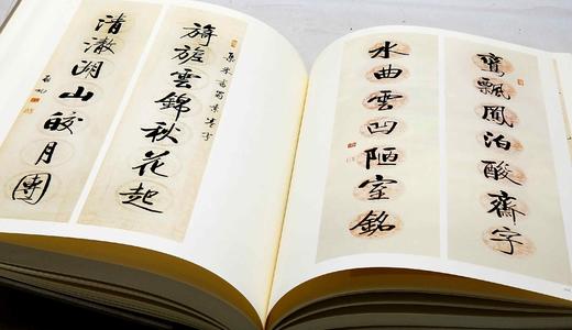 《启功法书/启功绘画》，启功先生 作，8开布面精装，二册，共780页，净重10斤左右，北京师范大学出版社2012年一版一印。定价3200，售价958元。 商品图6