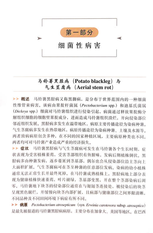 马铃薯主要病虫害识别与防治【中国农业出版社官方正版】 商品图1