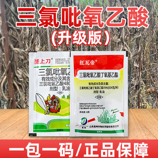三氯吡氧乙酸水花生灌木恶性阔叶杂草藤蔓强力烂根除草剂农药 商品图2