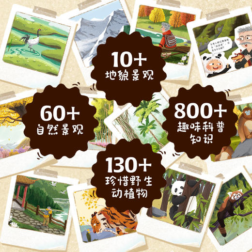 【图书】《去看看，我们的国家公园》| 清新细腻的画风、真实还原的场景，让孩子身临其境般走进自然，体验一堂精彩生动的科学课。7岁+ 商品图11
