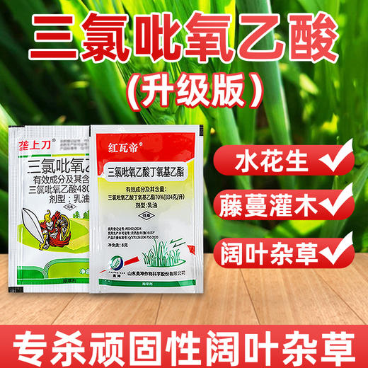 三氯吡氧乙酸水花生灌木恶性阔叶杂草藤蔓强力烂根除草剂农药 商品图3