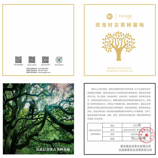 2022年有机老树白茶（250克木盒） 商品图2