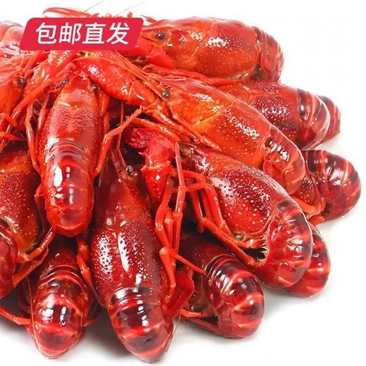 良仁 小龙虾750g*2盒（单虾4-6钱） （包邮直发） 商品图3