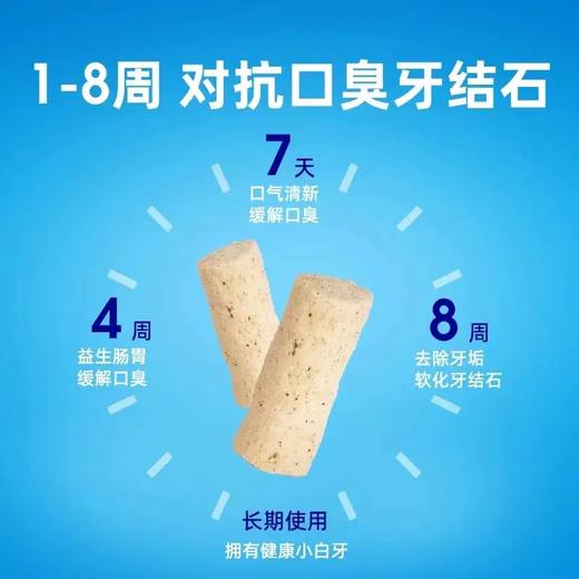 小壳小白牙冻干猫咪零食猫咪用品鸡肉洁齿棒 商品图1