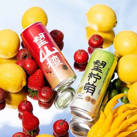 望山楂3罐+望柠檬3（330ml) 商品图4
