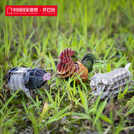 博物文创 为自然发声系列立体拼插纸模之农场动物 会发声纸模 益智动脑 鸡水牛 马小猪 商品图1