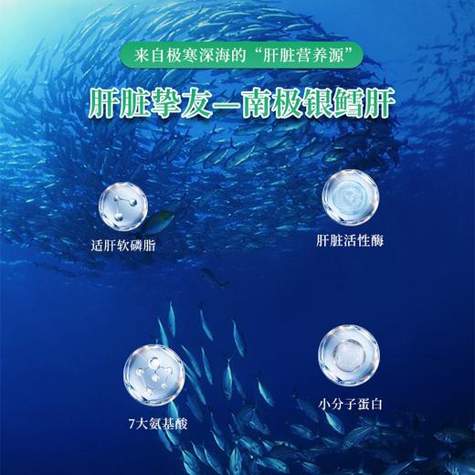 REFTER洛夫特牌姜黄水飞蓟凝萃 40粒/瓶  ts 商品图3