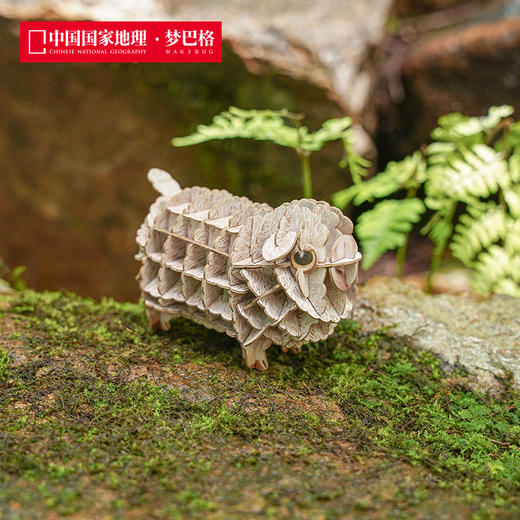 博物文创 为自然发声系列立体拼插纸模之农场动物 会发声纸模 益智动脑 鸡水牛 马小猪 商品图3