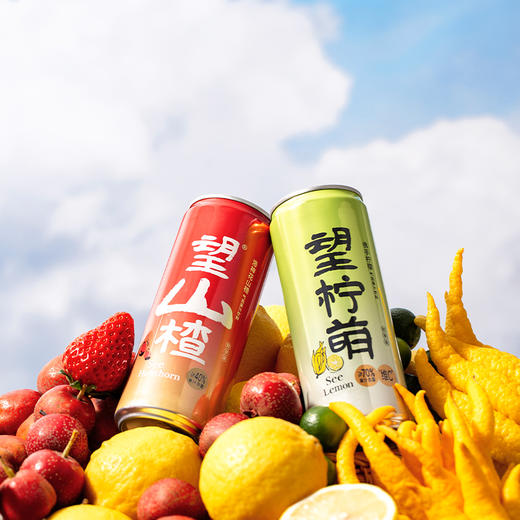 望山楂3罐+望柠檬3（330ml) 商品图1