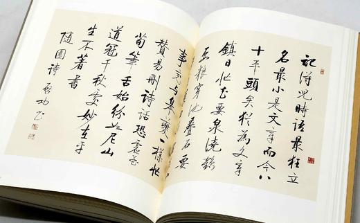 《启功法书/启功绘画》，启功先生 作，8开布面精装，二册，共780页，净重10斤左右，北京师范大学出版社2012年一版一印。定价3200，售价958元。 商品图8