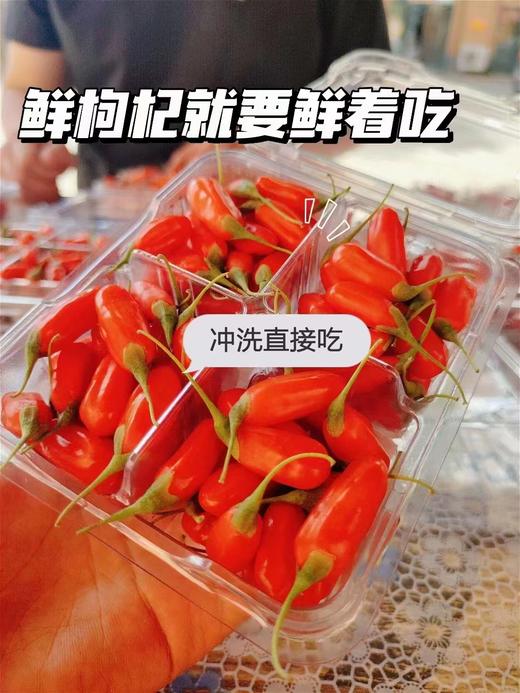 青海柴达木新鲜枸杞 只卖七八月的鲜果枸杞 顺丰冷链包邮 125g/盒*4盒/份 商品图10