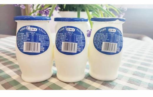 骑士老北京酸奶  凝固型原味酸奶净含量170g 商品图0