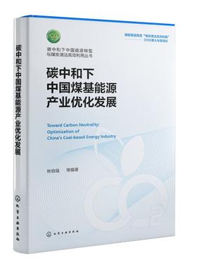 碳中和下中国能源转型与煤炭清洁高效利用丛书--碳中和下中国煤基能源产业优化发展