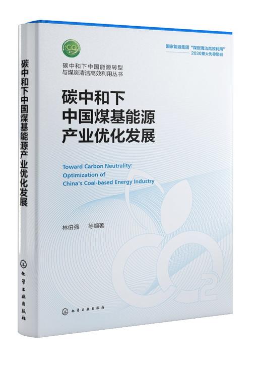 碳中和下中国能源转型与煤炭清洁高效利用丛书--碳中和下中国煤基能源产业优化发展 商品图0