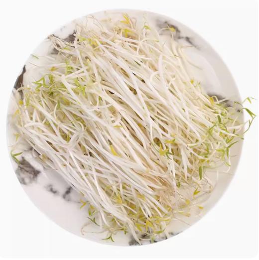 绿豆芽 约500g【BC】【QC】 商品图0