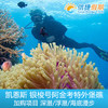 凯恩斯 银梭号阿金考特外堡礁加购项目  直升机/深潜 / 浮潜 / 海底漫步 商品缩略图2